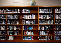  Display of books on bookshelves
